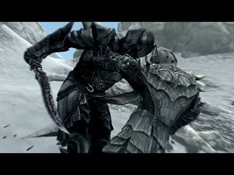 Ebony Warrior vs cat