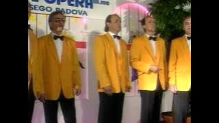 I Girasoli - Bugiardo amore (Video Ufficiale)