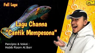 Full Video Lagu Channa - Ikan Cantik Mempesona #channa #ikanchanna #snakehead