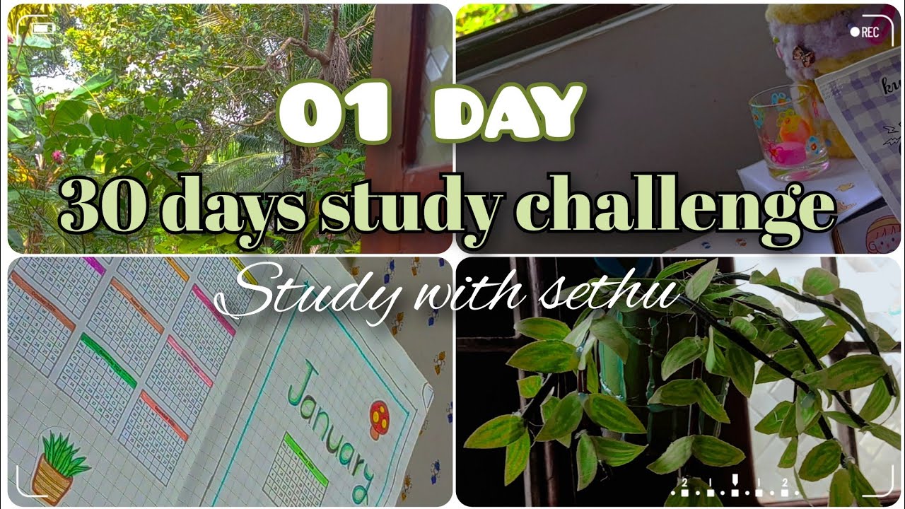 🌿🍃මාසයකට එක plan එකක් 😳🍃 හැමෝම මේ දවස් වල හොයන Study plan එක 😏📑 ඔන්න මාගෙ 1st study day eka 🥰🍀