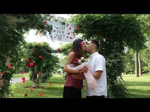 SURPRISE PROPOSAL AT THE FOREST PARK, MA