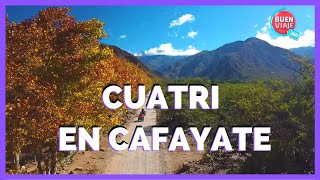 CUATRICICLO EN CAFAYATE 🌄 SALTA