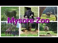 Mysore Zoo|| Places to visit in Mysore|| Animals and Birds tour || Most visited Zoo in India || vlog