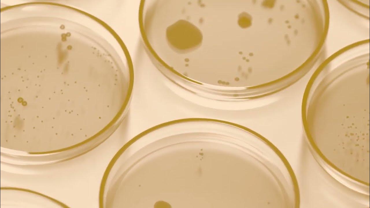 Introducing Austin Mold Testing YouTube