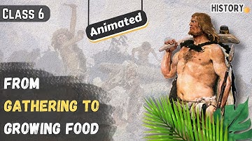 From Gathering To Growing Food | NCERT History Class 6