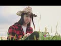 AI Revolution Weed Removal in Redgram