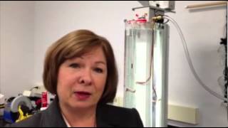 A tour through the Carbon Fiber Technology Facility  in Oak Ridge