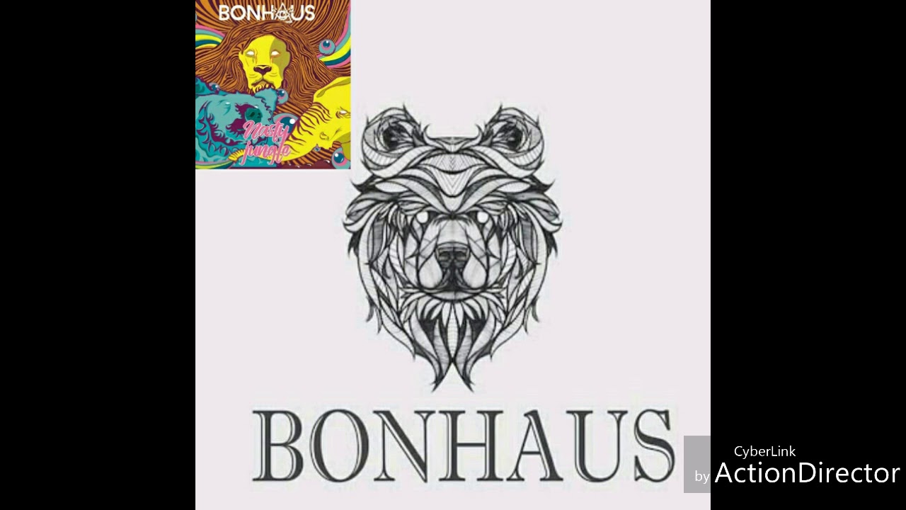 Bonhaus-nasty jungle (original version)