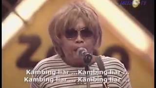 P-Project - Kambing Liar (Zona Memori Metro TV 2010)