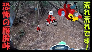 廃道？雁股峠を走る！