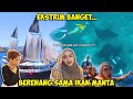 EKSTRIM BANGET BERENANG SAMA IKAN MANTA TERBESAR!! Nginep Di Kapal 50 Juta Permalam!?!!