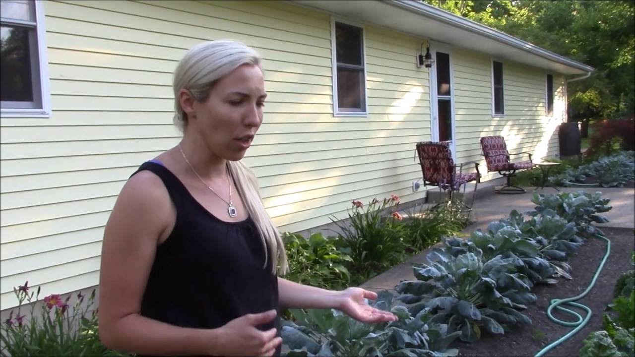 Transforming my front yard into edible landscape Part 2 - YouTube