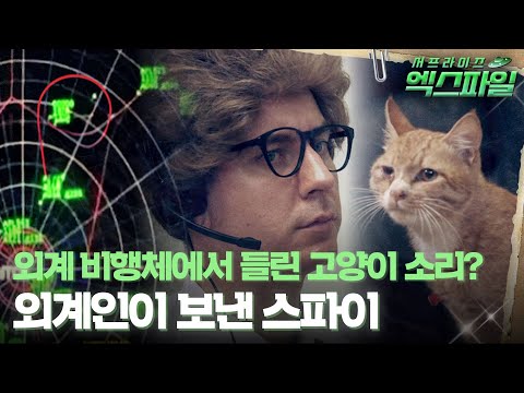 [서프라이즈 <strong>엑스파일</strong>] 외계 비행체에서 들린 고양이 소리? 외계인이 보낸 스파이 #서프라이즈 MBC190811방송