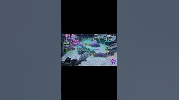 Fish detection using opencv yolo11