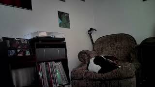 WAR - Outlaw - Just Because