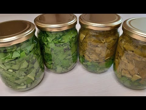 2 ЛУЧШИХ Способа! Заготовка щавеля НА ЗИМУ