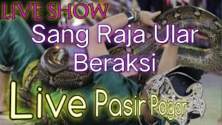 Download Lagu Kehebohan Penari Ular [Asep Oray]live Pasir pogor MP3