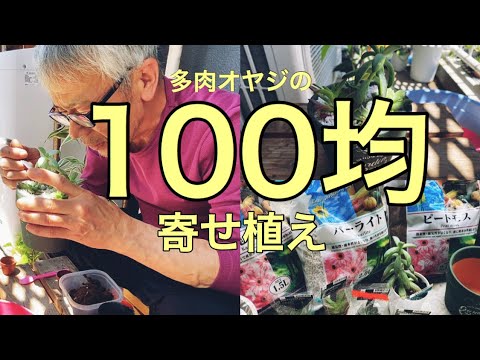 100均商品だけで 多肉植物 寄せ植えを多肉職人がつくる Youtube