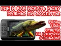 КАК И ГДЕ ИСКАТЬ РЫБУ. ТАК ЛИ НУЖЕН ЭХОЛОТ. РЫБАЛКА НА СПИННИНГ. Стрим Fishing Today