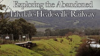 Exploring The Abandoned Lilydale-Healesville Railway Remains and Preservation