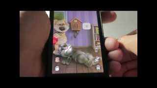 K-Touch W686 - Game Talking Tom - dochoididong screenshot 4