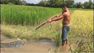 Amazing Shooting Fish - Creative Fishing by Air Pressure Gun - Use Gun to Shoot Fish