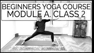 Beginners Yoga Course | Module A, Class 2 | 41 min | Cat de Rham | Online Yoga Teaching