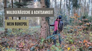 Waldgeräusche & Achtsamkeit – Mein Ruhepol