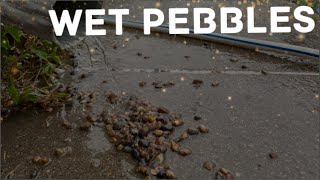 Asmr Famous Wet Pebbles In Lofi, Fast Soundsscratching, Tapping, Water Sounds