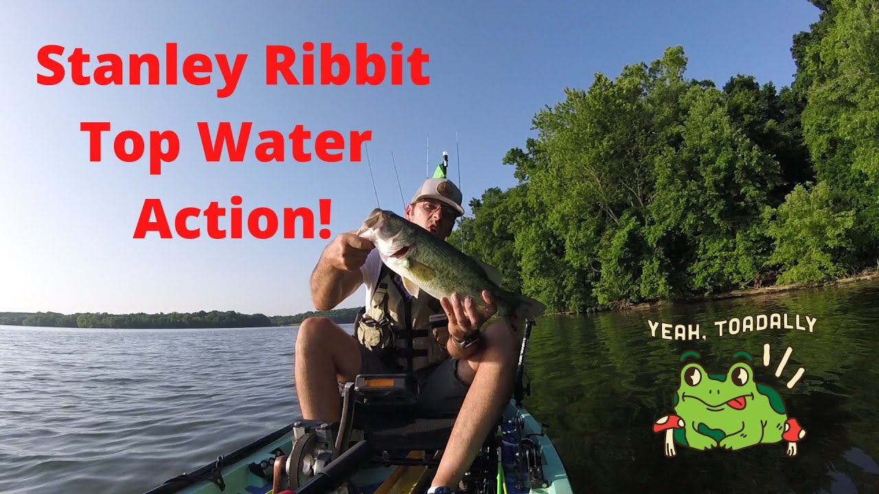 Stanley Ribbit My Favorite Summer Top Water Solid Body Frog 