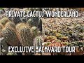 Exclusive Backyard Tour Of An Amazing Private Cactus Collection Phoenix AZ Exclusive Backyard Tour Of An Amazing Private Cactus Collection Phoenix AZ