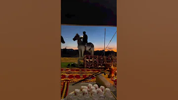 احسبك تمزح علي بحكاك 