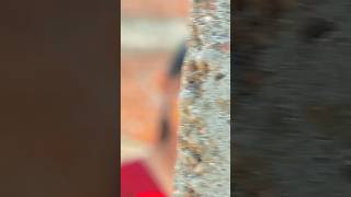 Nik lagela 🫰🏻🩷🥰☺️😘..... #shorts #ytshorts #youtubeshorts #trending #viralvideo