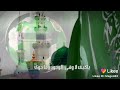 الى رحاب الحبيب  اتمنى نظره للقبة الخضرا حالتي