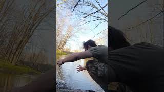 #maine brook trout fishing #stockers part 1