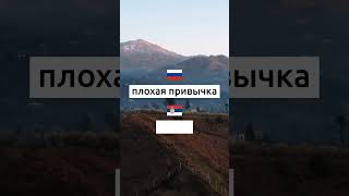 Учим сербский каждый день. Упражнения и викторины на сербском языке