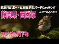 富士南麓・西臼塚の探鳥地レポートです　素敵な声がたくさん聴けました！　2022年7月下旬