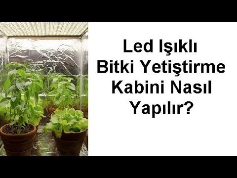 Video: Ev içi için yapay bitki (fotoğraf)