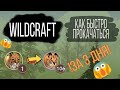 WildCraft / Как быстро прокачаться / За 3 дня / How to pump fast