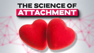 The Science of Attachment – What Neuroscience Says About Love & Connection