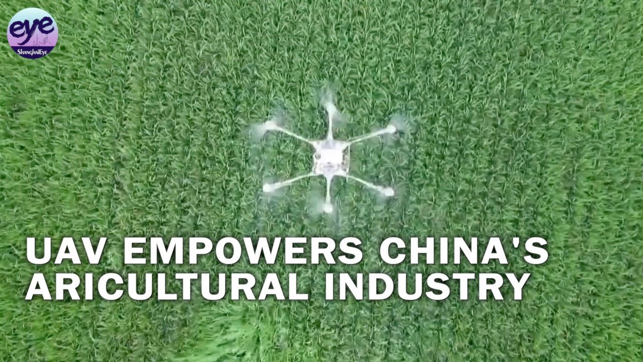 China's UAV industry prioritizes applications for agriculture, forestry