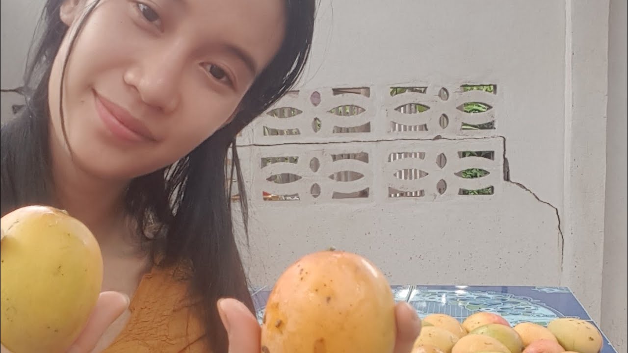 Taidam ພາກິນໝາກມ່ວງຈະ:มากีนมะม่วงจ๋า