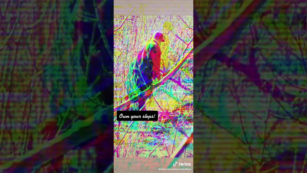 Own Your Steps, here on YouTube, Ticktoc, and Instagram.   Worth a look-see