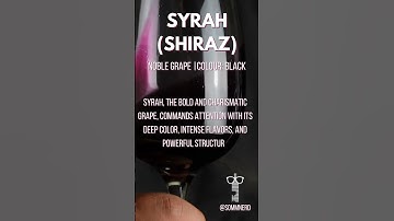 Shiraz (Syrah) | The Worlds Grape🍇
