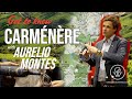 Aurelio montes sur carmnre