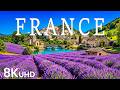 France in 8K – Blooming Lavender Fields &amp; Peaceful Countryside Scenery