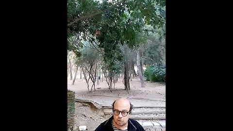 Ποίηση στους δρόμους της Αθήνας-Το πρακτορείο