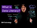 What is data literacy
