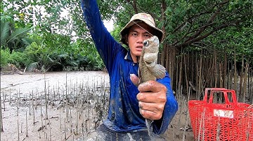 Cắm Câu Cá Thòi Lòi Biển Cần Giờ Tập 27 Trở Lạy Rừng Bần Đầy Ông Sắt /Đạt Nguyễn Cần Giờ