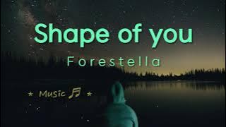 Forestella(포레스텔라) Shape of you (HQ Audio)음원버전
